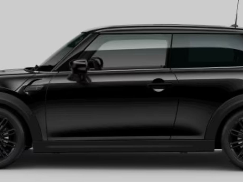 Mini Mini Electric