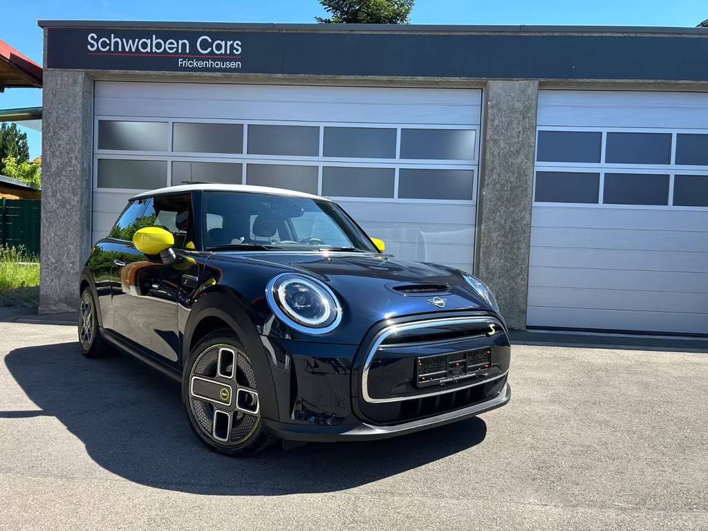 Mini Mini Electric