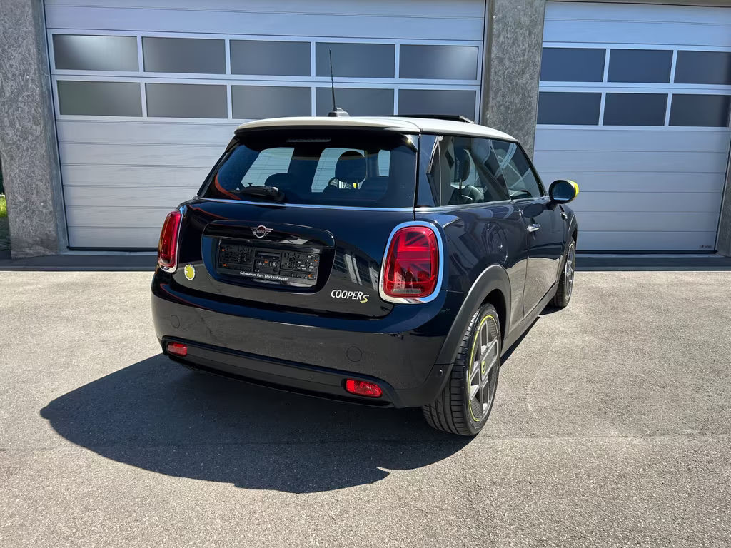 Mini Mini Electric