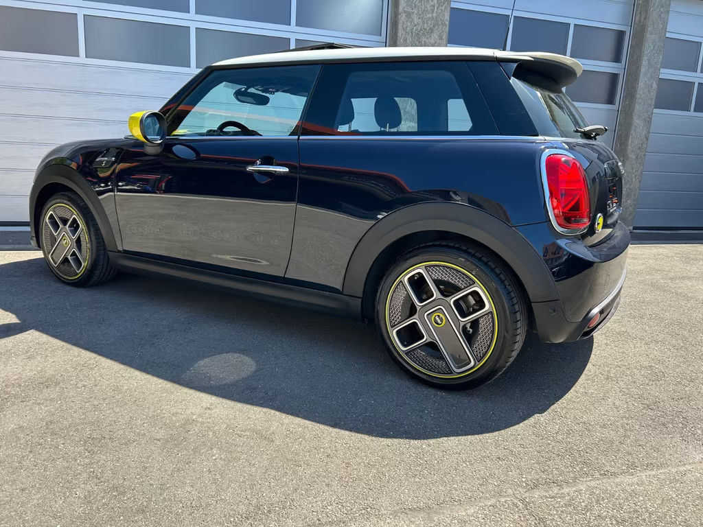 Mini Mini Electric