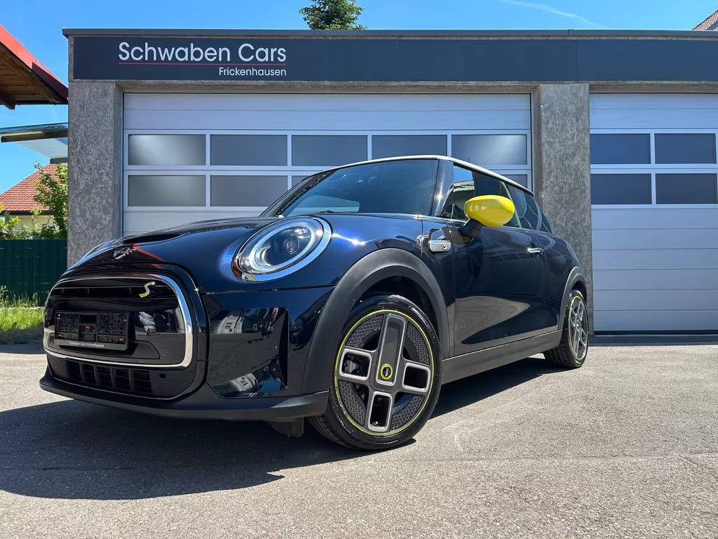 Mini Mini Electric