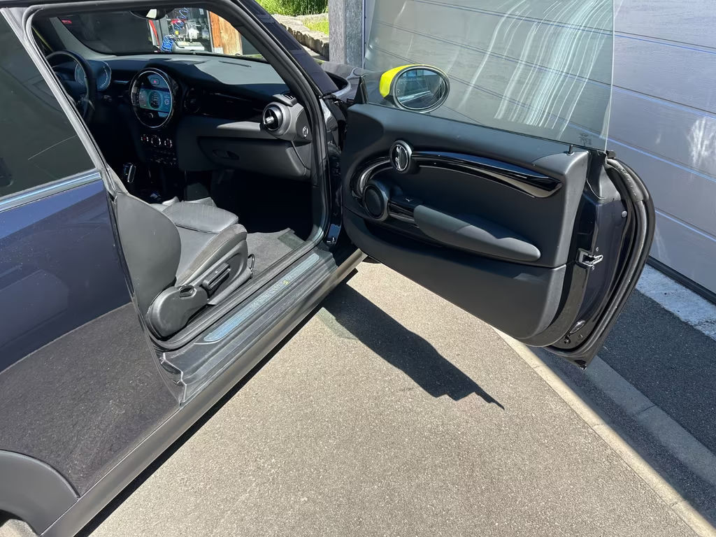 Mini Mini Electric
