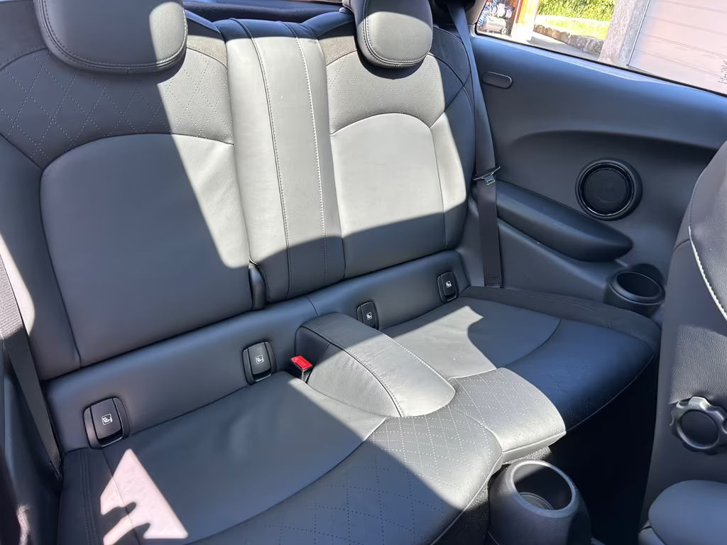 Mini Mini Electric