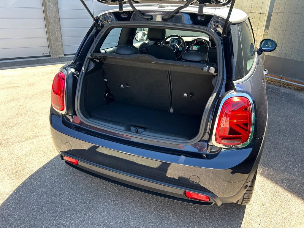 Mini Mini Electric