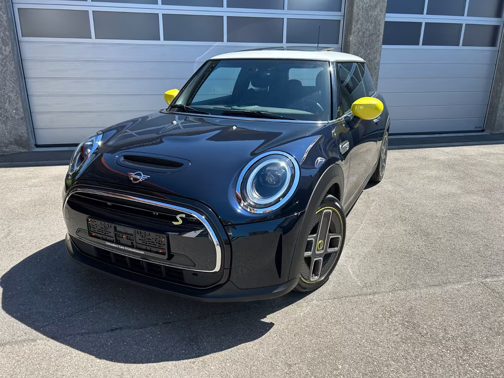 Mini Mini Electric