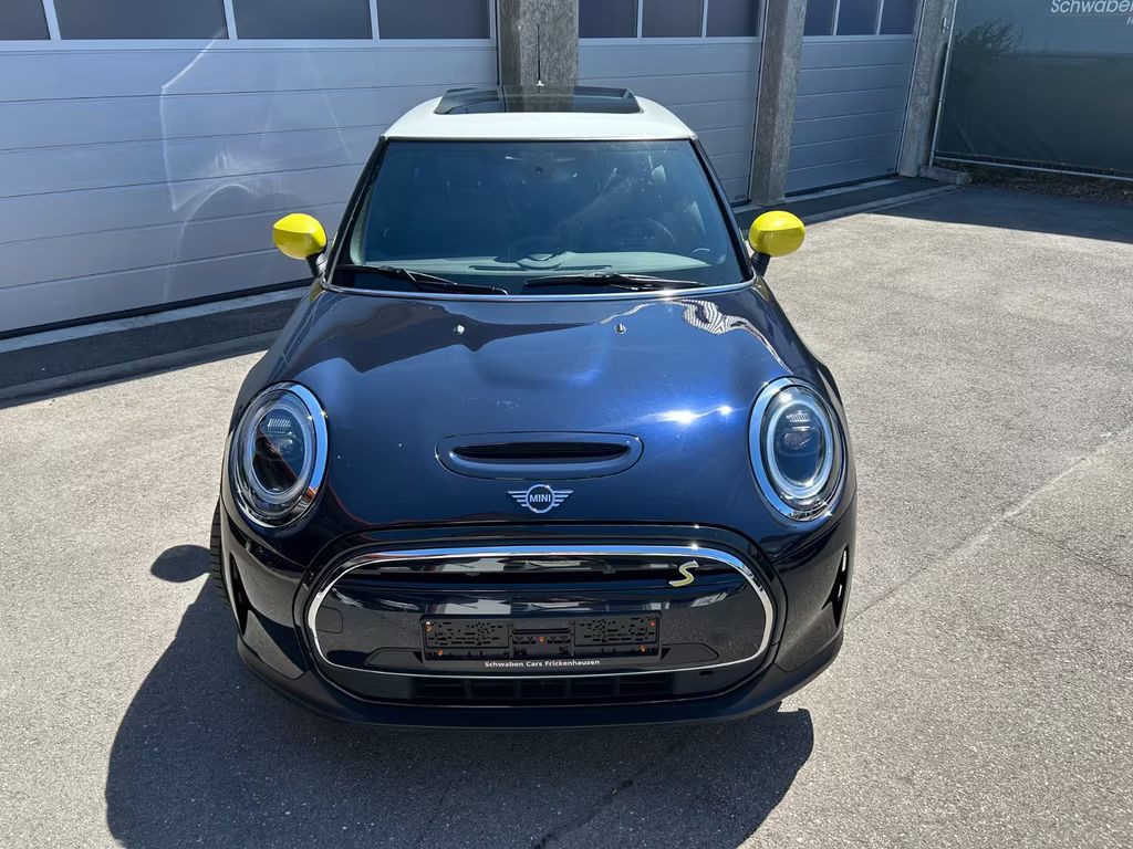 Mini Mini Electric