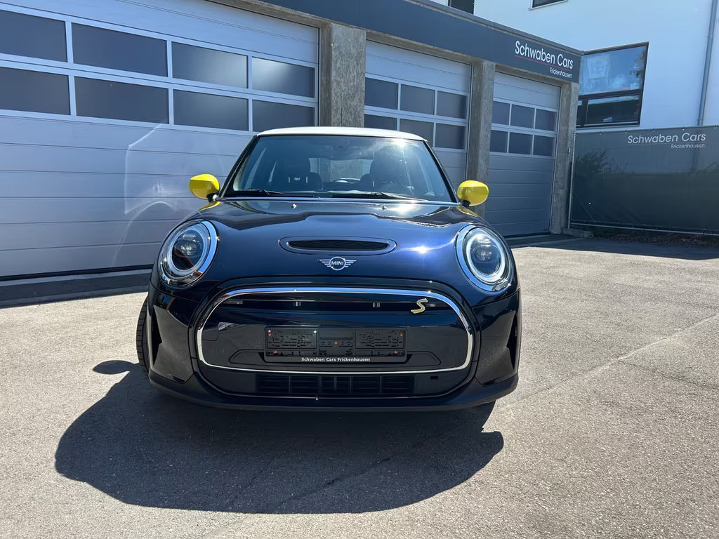 Mini Mini Electric