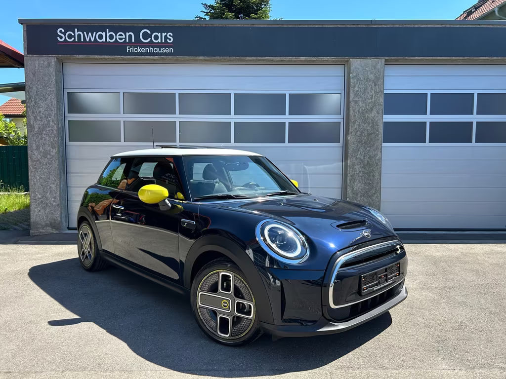 Mini Mini Electric