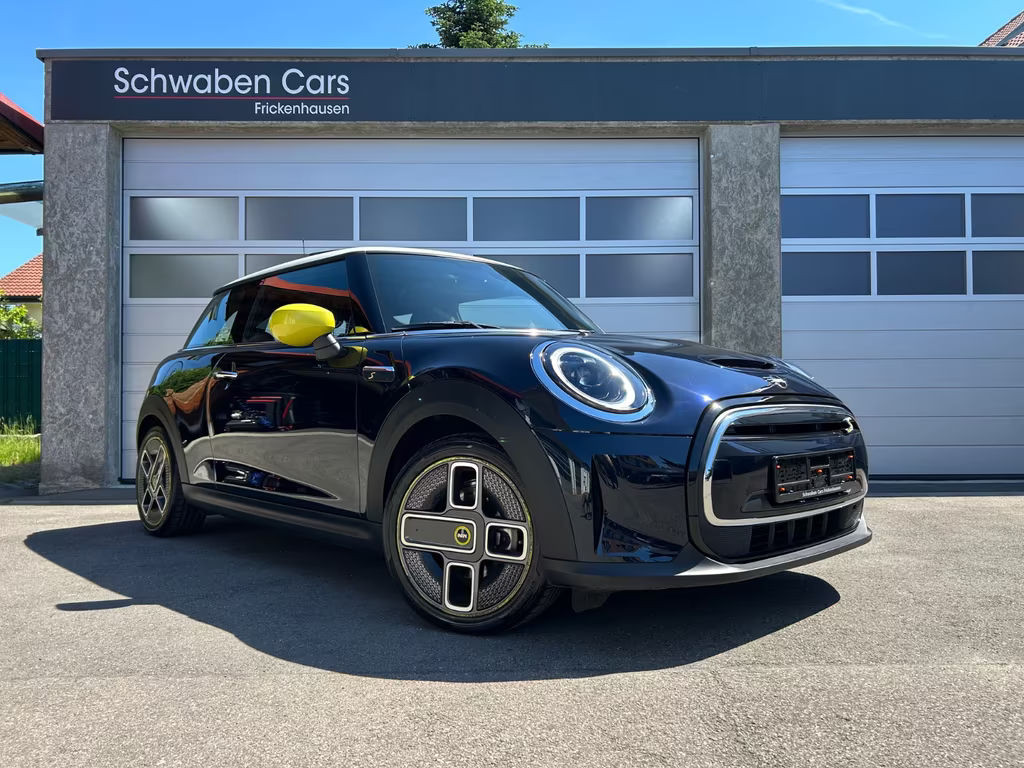 Mini Mini Electric