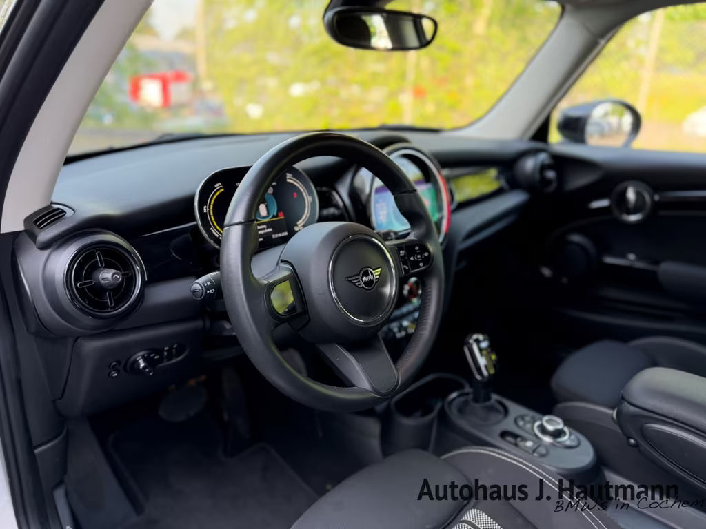 Mini Mini Electric