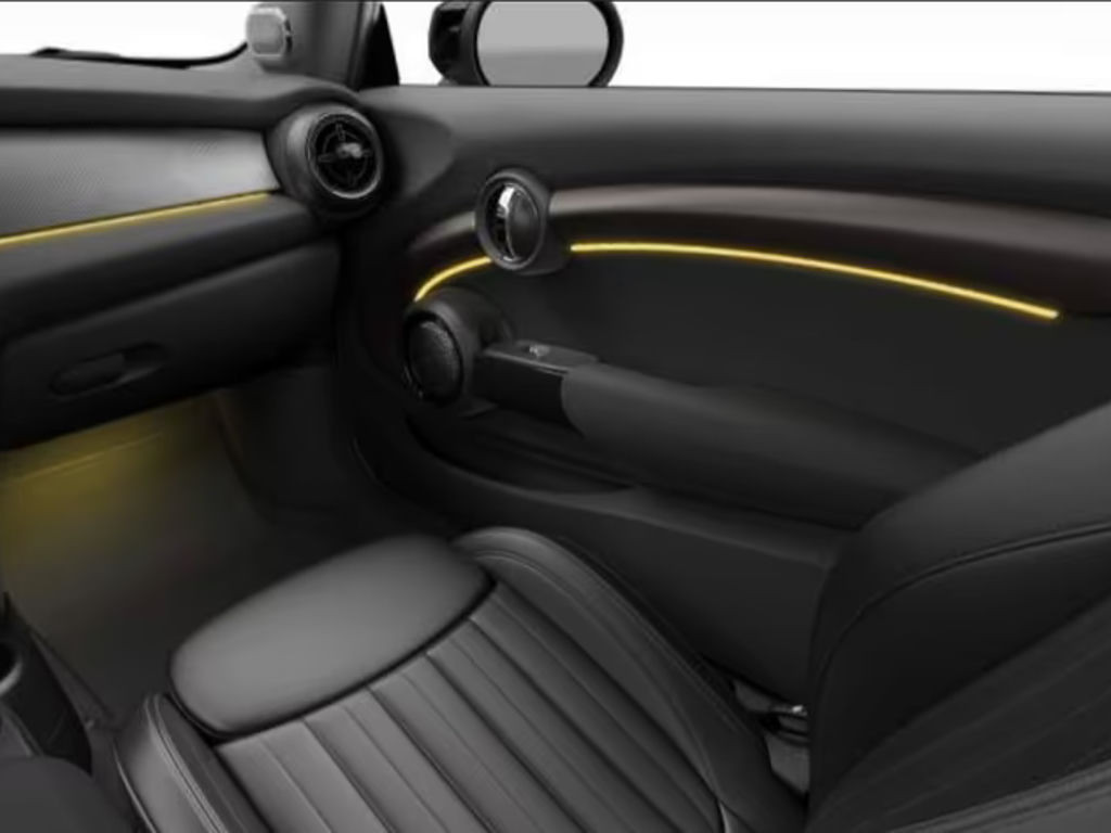 Mini Mini Electric