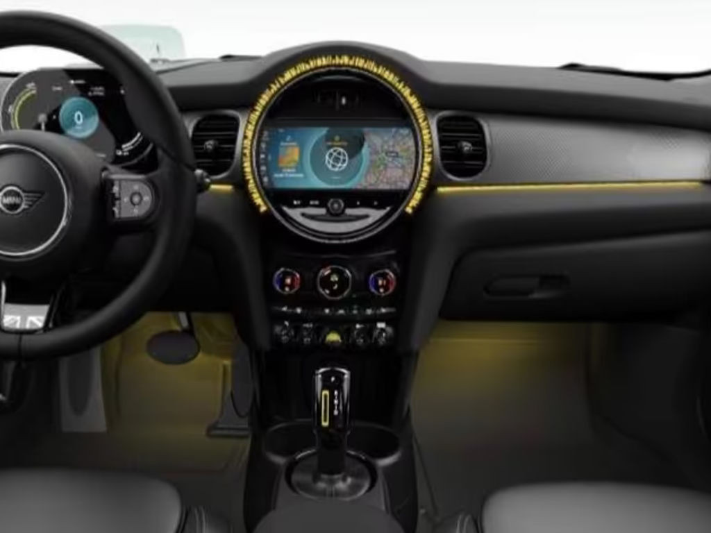 Mini Mini Electric