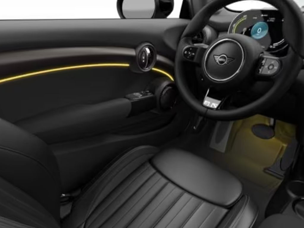 Mini Mini Electric