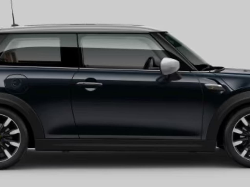Mini Mini Electric