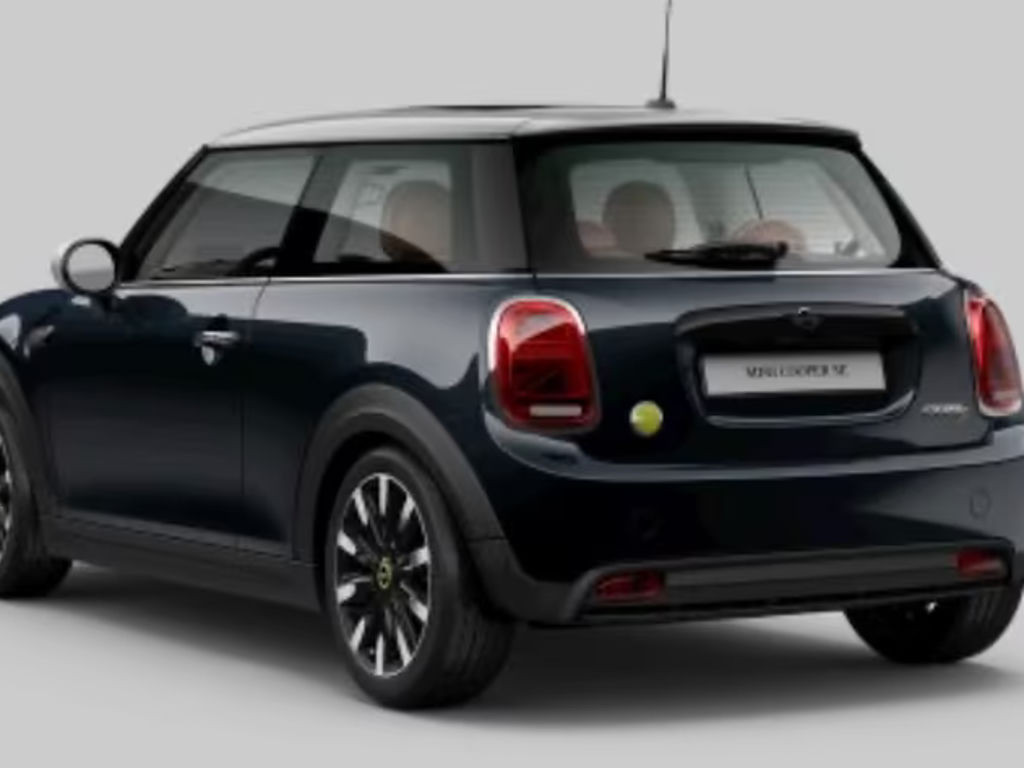 Mini Mini Electric