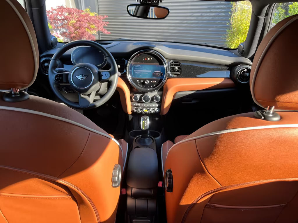 Mini Mini Electric