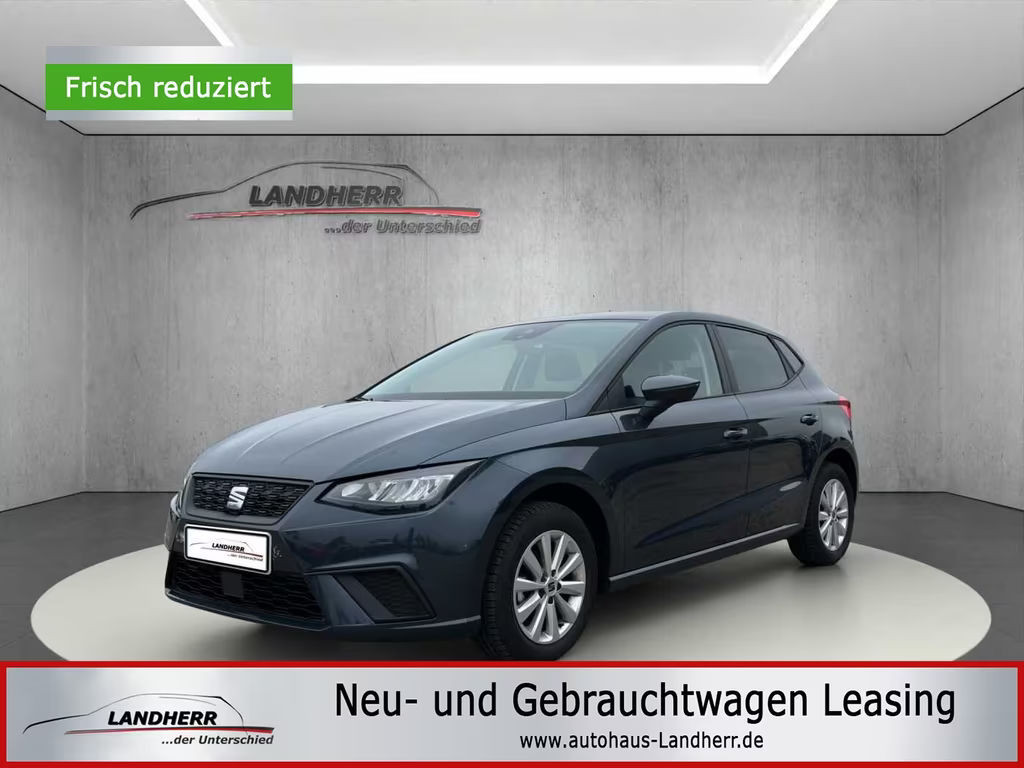 Seat Ibiza Style