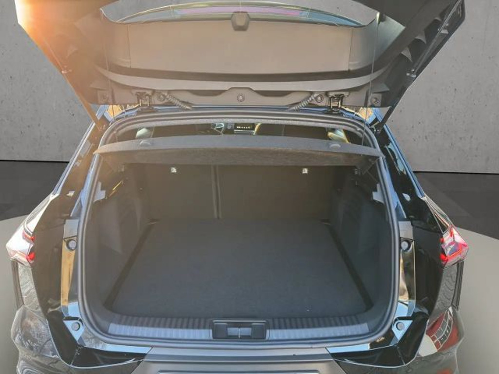 Mitsubishi Grandis