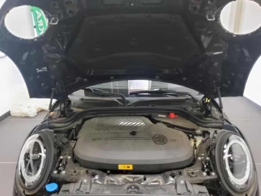 Mini Mini Electric