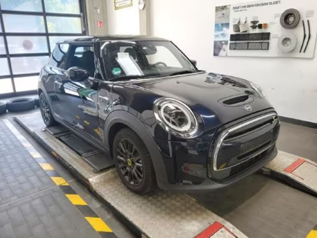 Mini Mini Electric