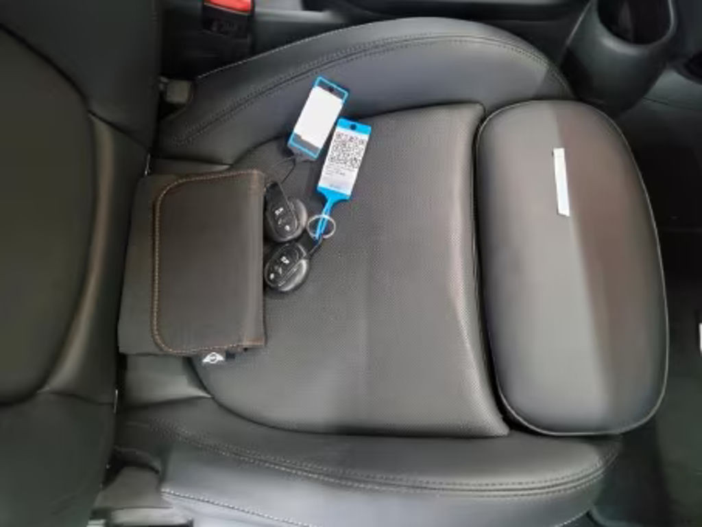 Mini Mini Electric
