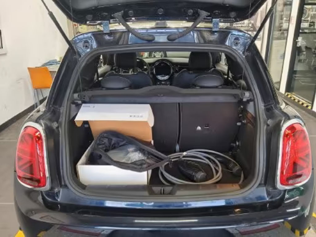 Mini Mini Electric