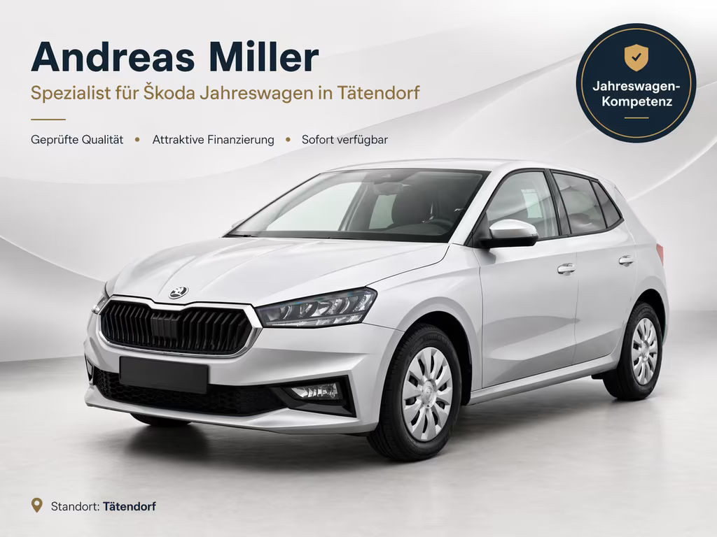 Skoda Fabia Selection