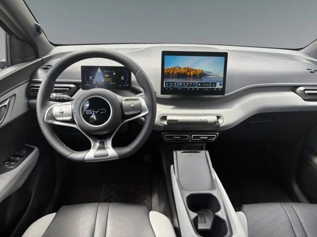 BYD Dolphin Surf