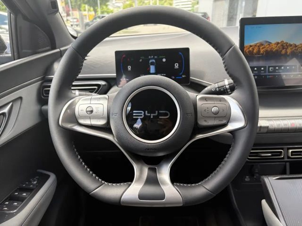 BYD Dolphin Surf