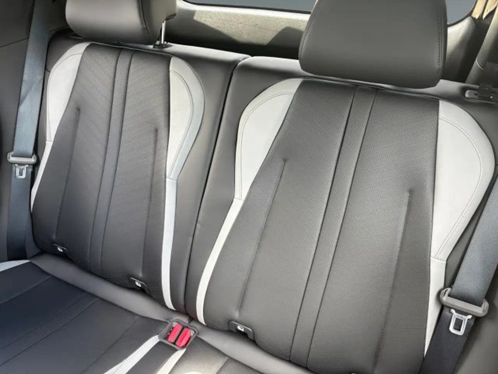 BYD Dolphin Surf