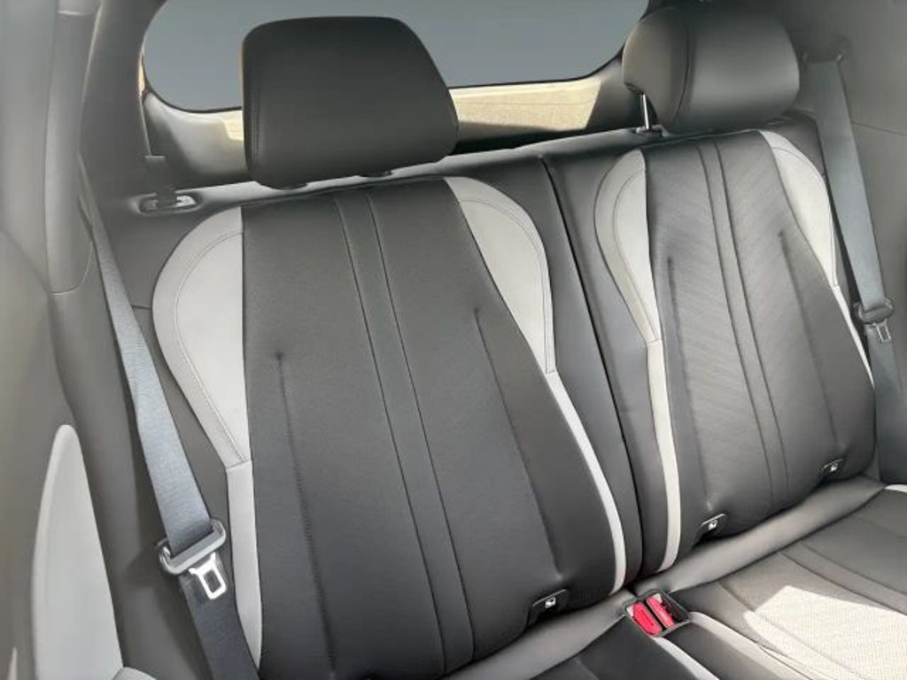BYD Dolphin Surf