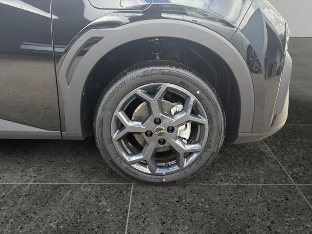 BYD Dolphin Surf