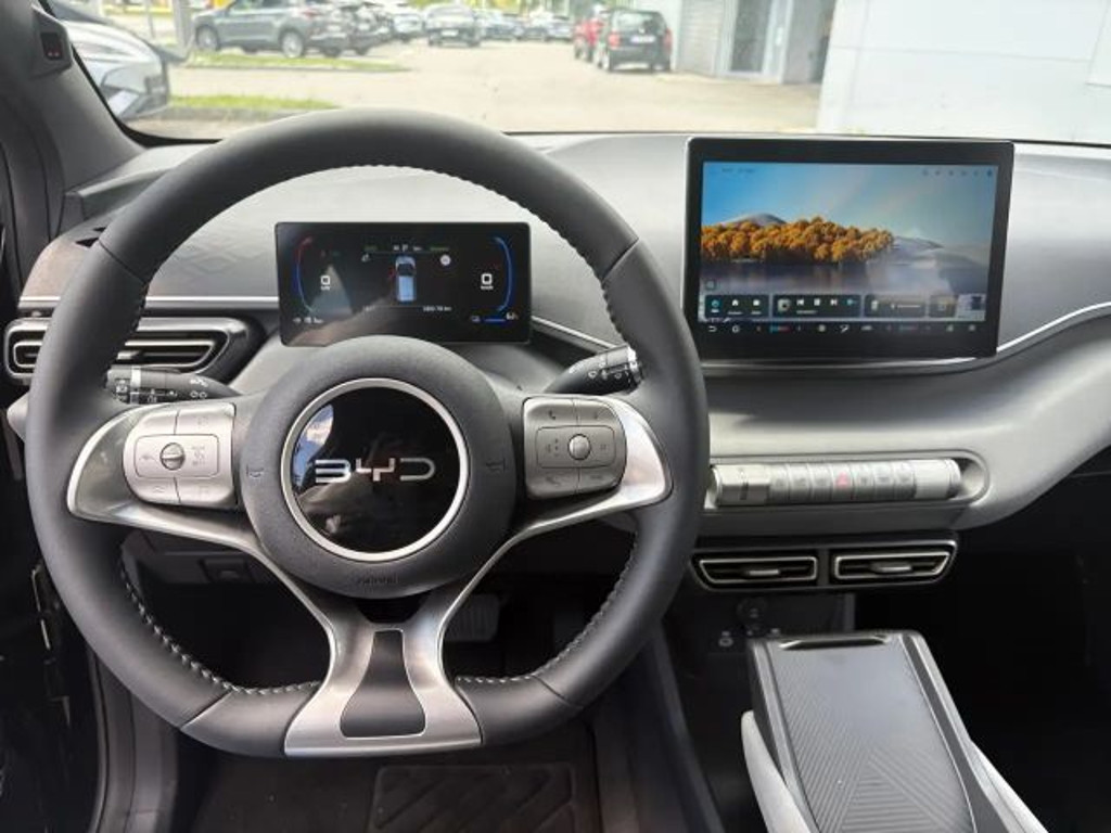 BYD Dolphin Surf