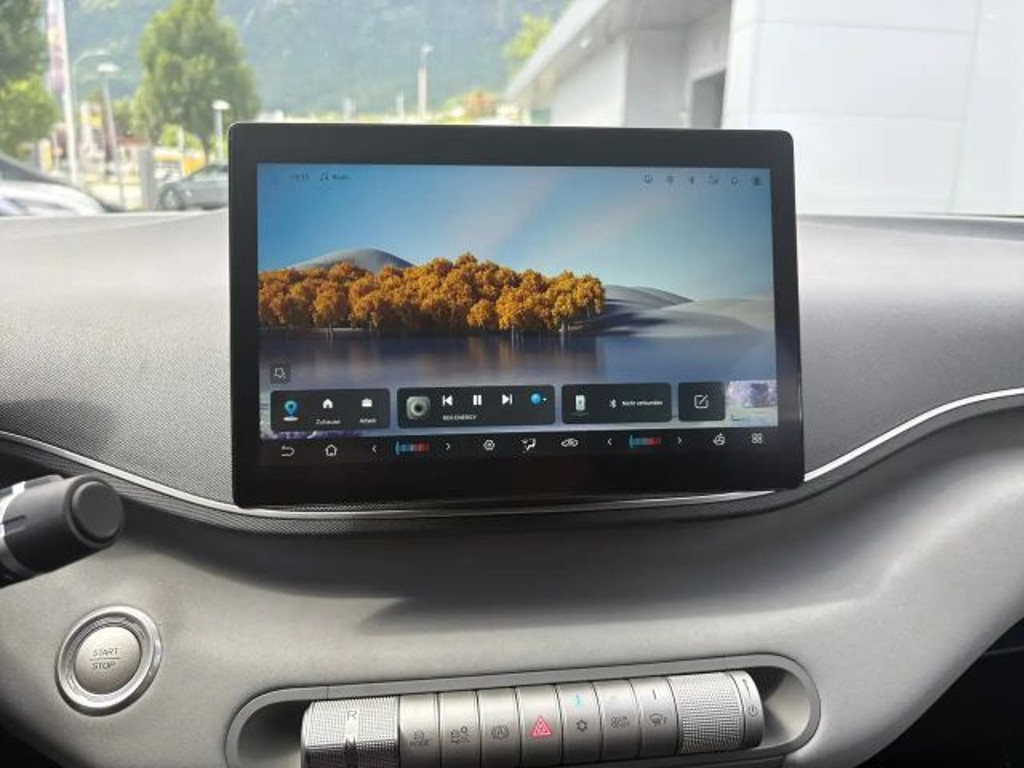 BYD Dolphin Surf