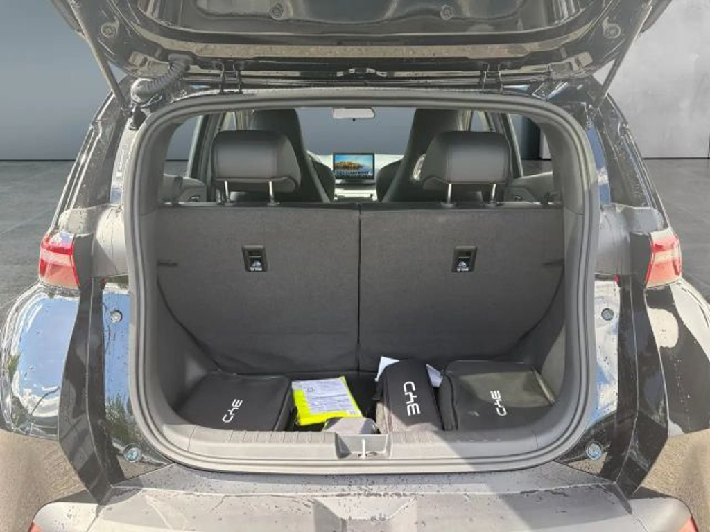 BYD Dolphin Surf