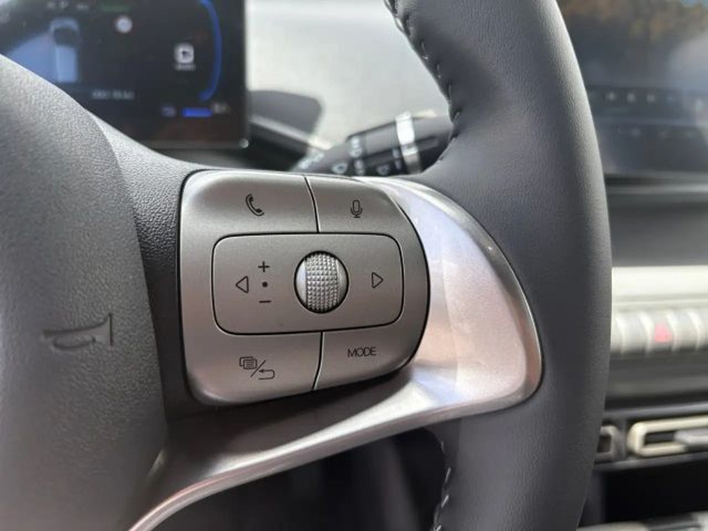 BYD Dolphin Surf