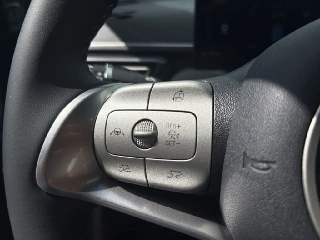 BYD Dolphin Surf