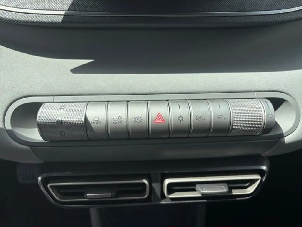 BYD Dolphin Surf
