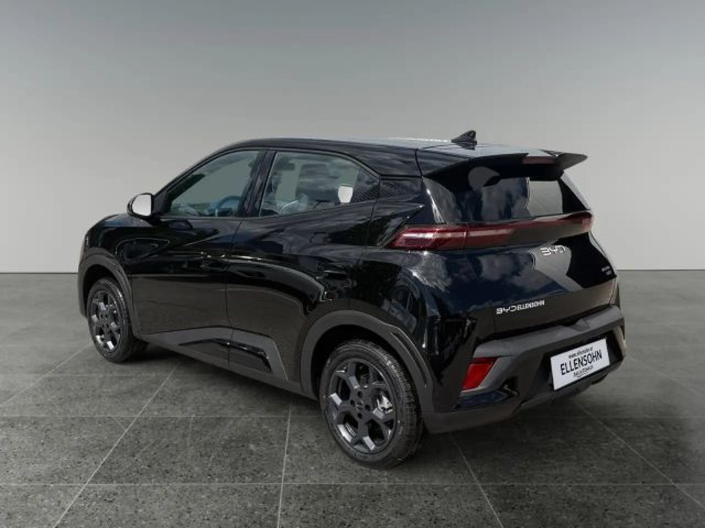 BYD Dolphin Surf