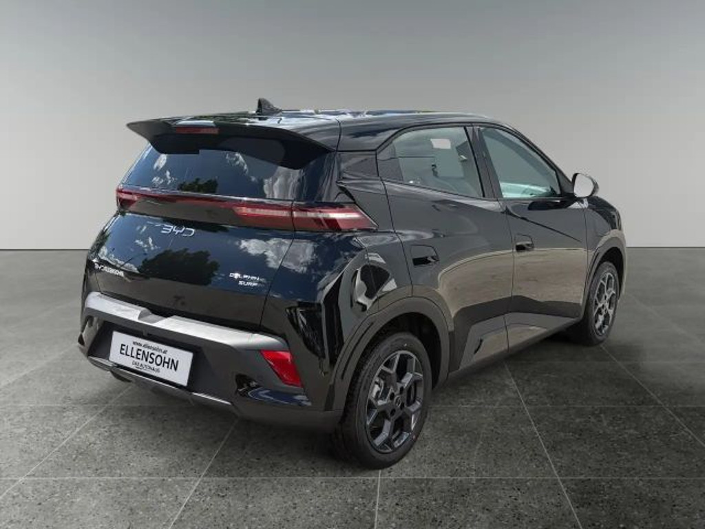 BYD Dolphin Surf