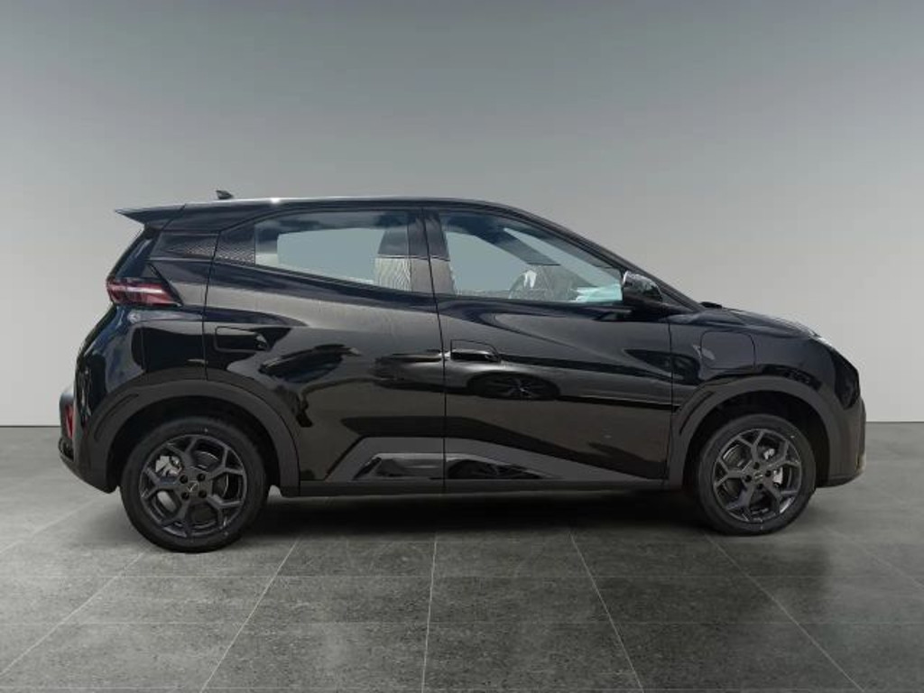 BYD Dolphin Surf