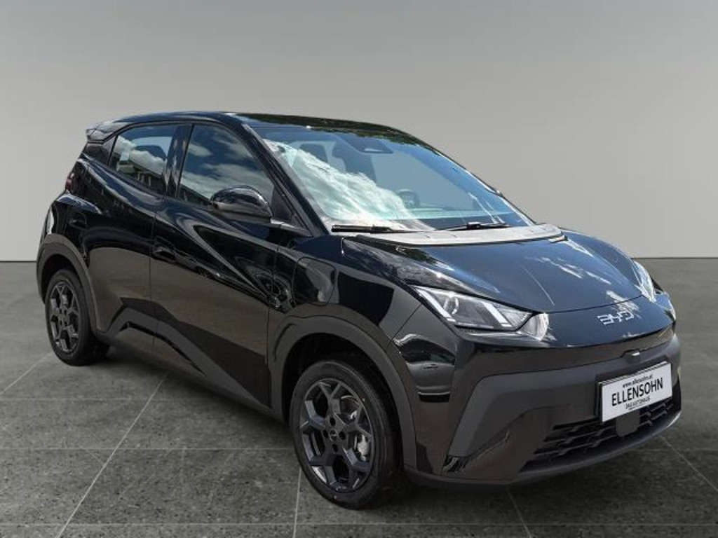 BYD Dolphin Surf