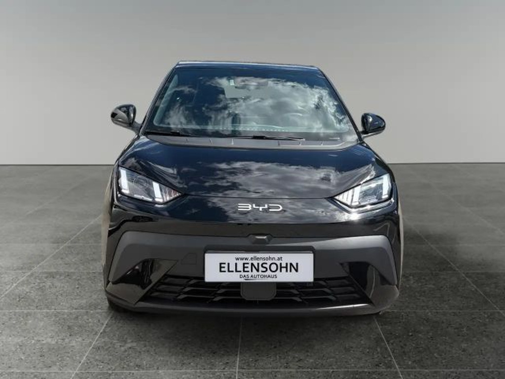 BYD Dolphin Surf