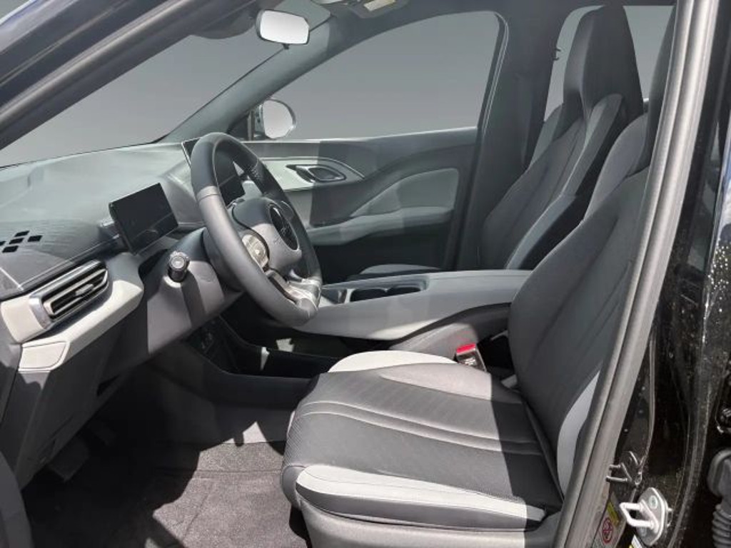 BYD Dolphin Surf
