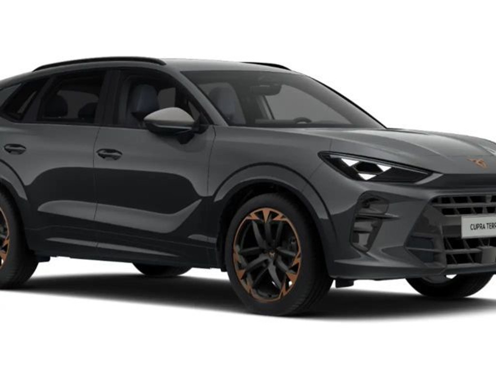 Cupra Terramar 2.0 TSI VZ