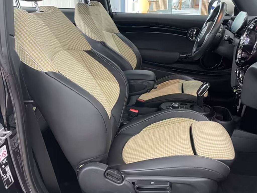 Mini Mini Electric