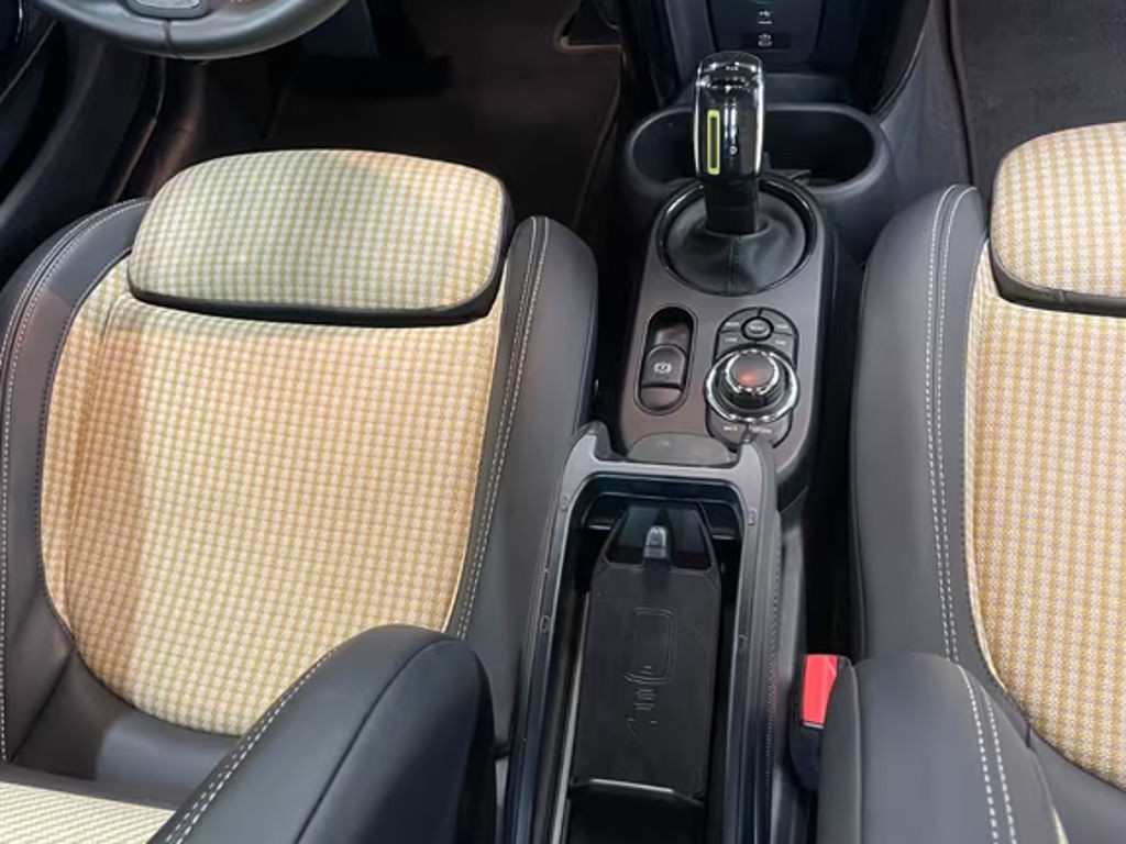 Mini Mini Electric