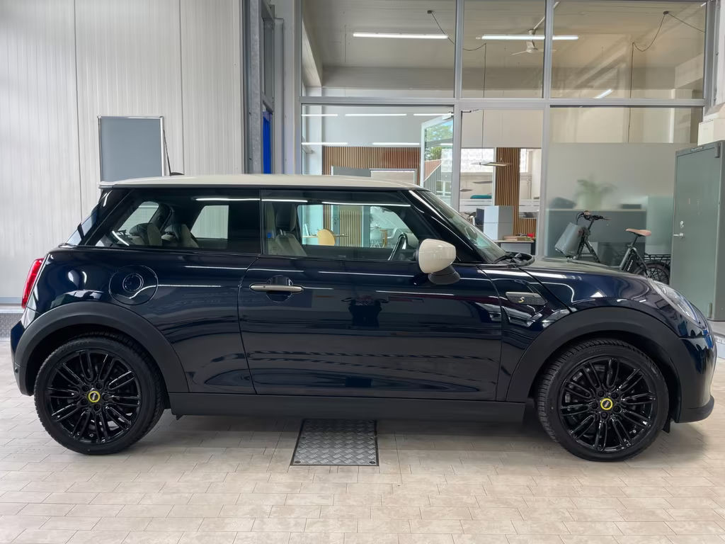 Mini Mini Electric