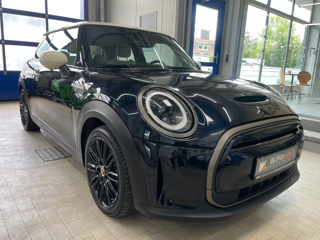 Mini Mini Electric
