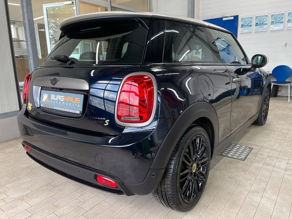 Mini Mini Electric